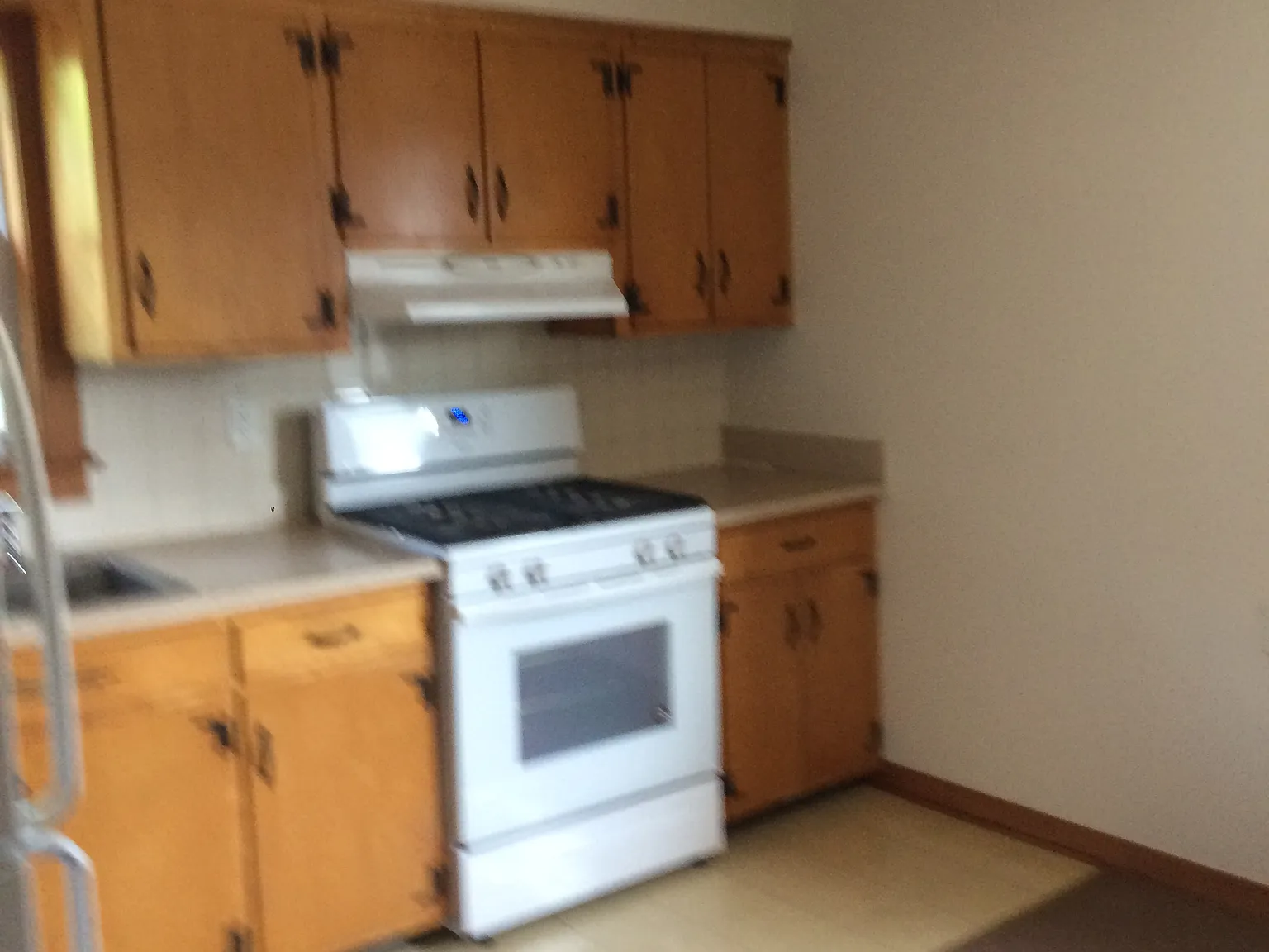 1 bed, $1,450 — Photo 4