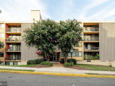 4 S Van Dorn St APT 302, Alexandria, VA, 22304