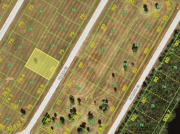 12491 FILEFISH COURT, PLACIDA, FL 33946