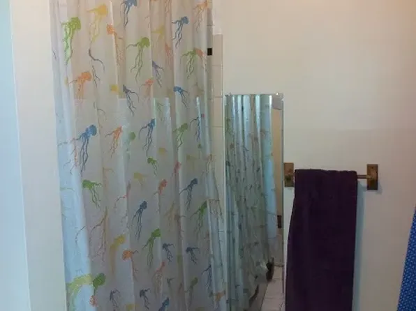 907 Luttrell St APT 3, Knoxville, TN 37917