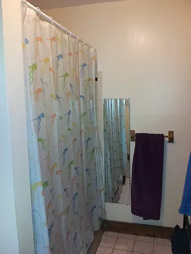 907 Luttrell St #3 Photo 1