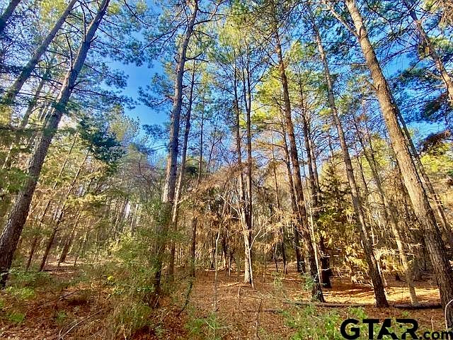 1st image of County Road 1190