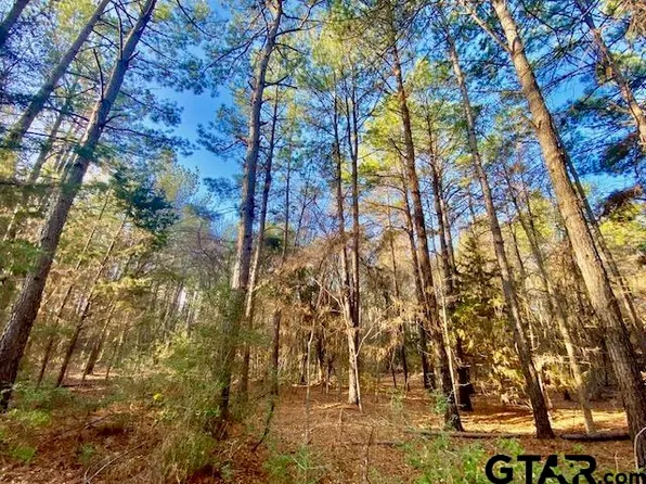 County Road 1190, Kennard, TX 75847