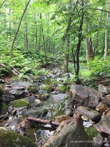 Tbd S Strong Rd, Farmington, ME, 04938