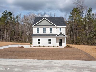 102 Palo Alto Park Drive, Maysville, NC, 28555