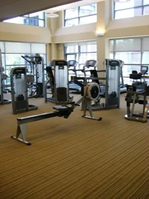 Rented by Lisa Management | media 25