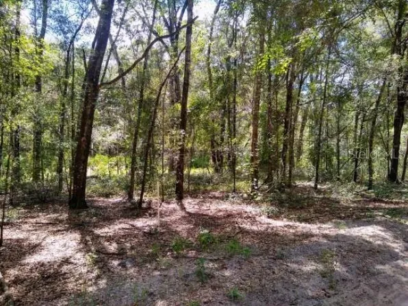 SW 79th Pl Lot 3, Archer, FL 32618