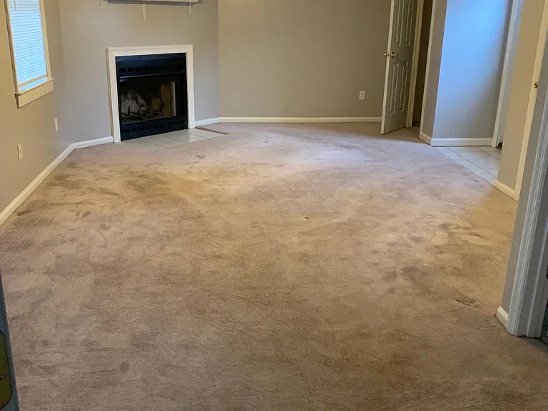 127 Blue Pool Dr — Photo 19