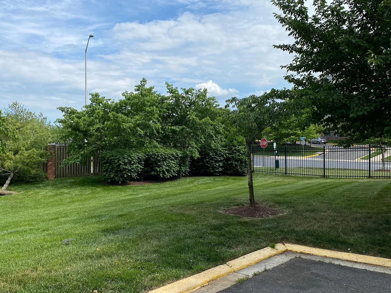 Lanier Ave, Suitland — Photo 3