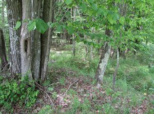 Shelbert Rd, Newfoundland, PA 18445