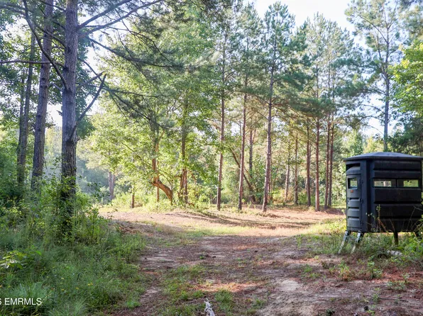 8210 Willie Chandler Rd, Toomsuba, MS 39364