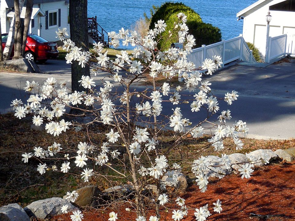 Water views of Canobie Lake