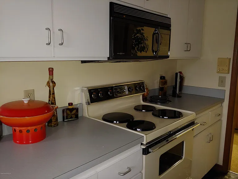 816 Greenwood Manor Cir #10 — Photo 58