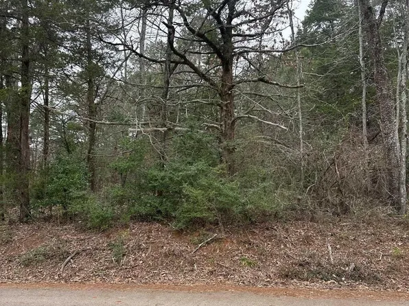 11372 County Road 2326, Tyler, TX 75707