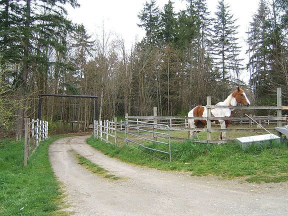 Driveway