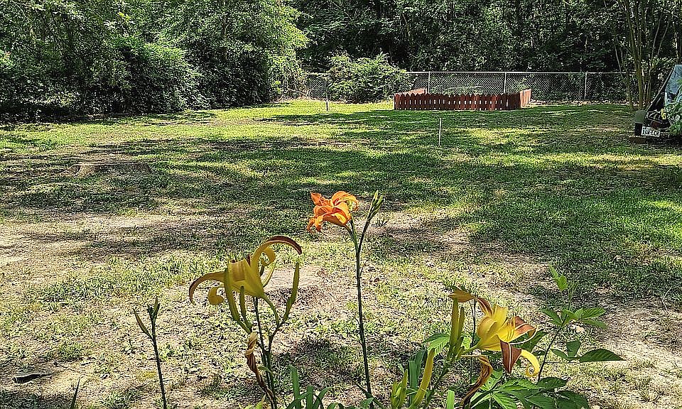 535 E Lake Timpson Rd, Timpson, TX 75975 Zillow