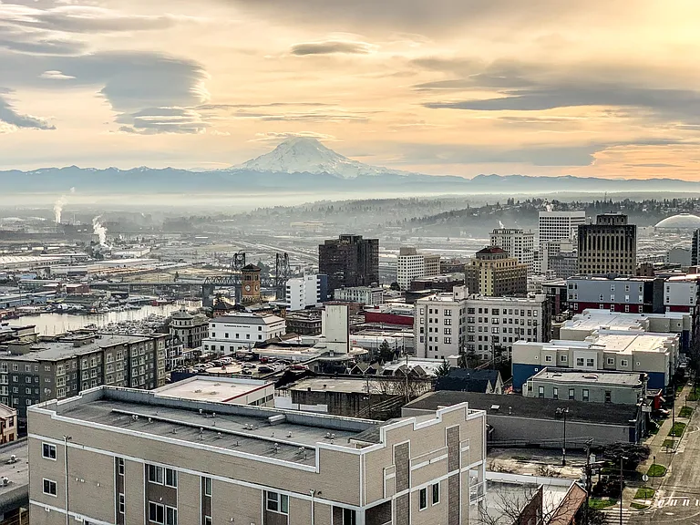 Rainier Views