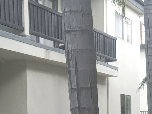 10726 Orange Grove Ave APT 19