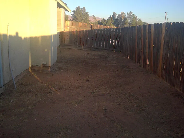 Fenced Yard and Patio