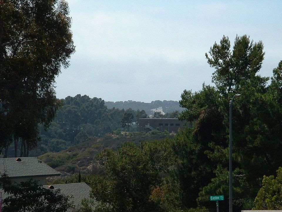 View from Patio
