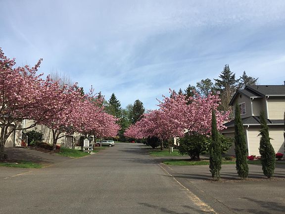 2nd image of 3017 17th Avenue Ct NW