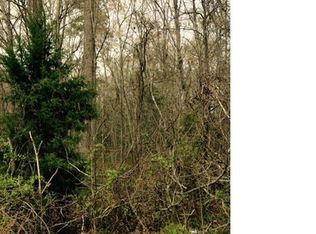 19808 Oak River Dr, South Chesterfield, VA 23803