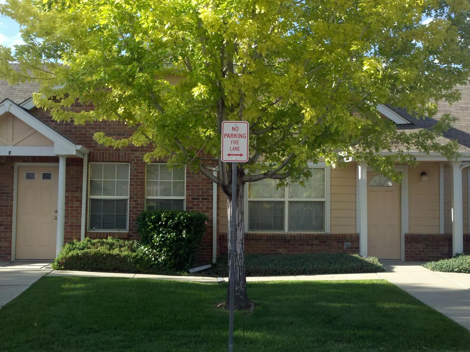 2 bed, 828 sqft, $1,250 — Photo 3