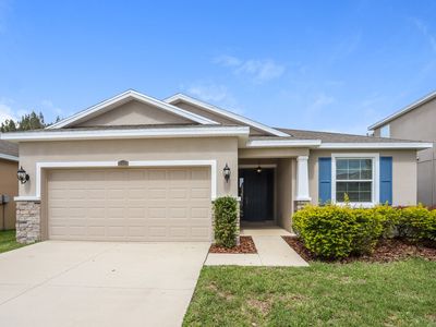 11421 Warren Oaks Pl, Riverview, FL, 33578