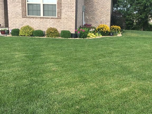 beautiful yard & landscaping