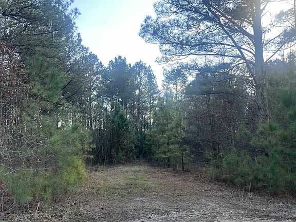 2nd image of TRACT 1 County Road 450
