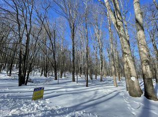 Oak Leaf Ln #25, Pocono Lake, PA 18347