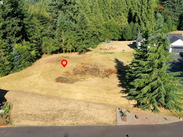 Arthur Dr, Warren, OR 97053