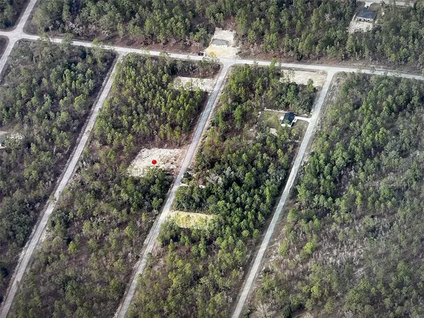 NW Narcissus Rd Lot 51, Dunnellon, FL 34431