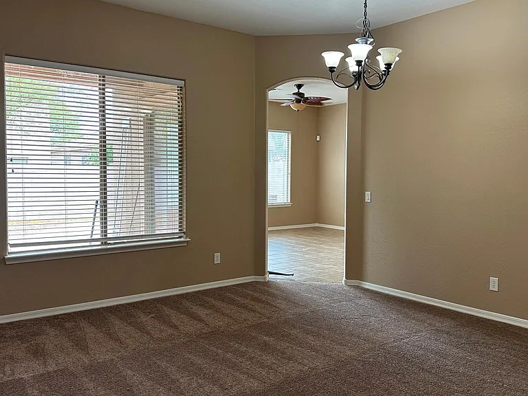 Large Living New Carpet all over