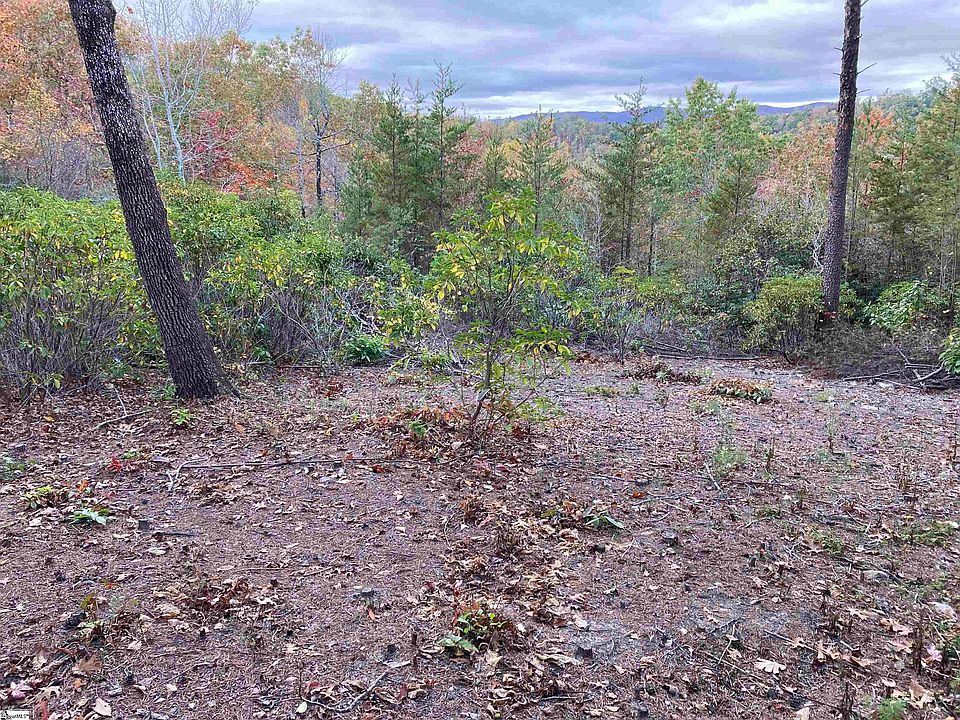 2nd image of 15 White Fox Trl
