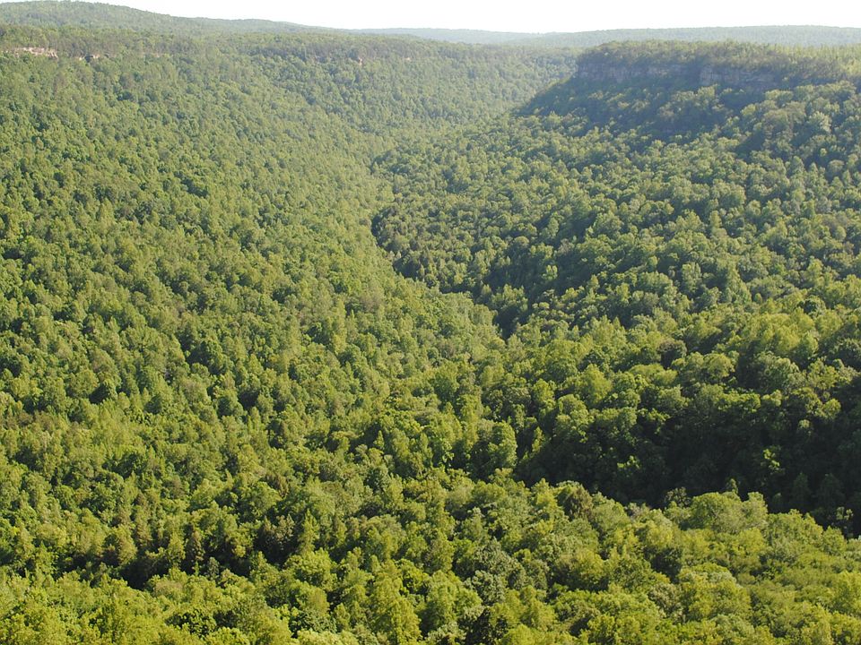 0 Pocket Rd, Whitwell, TN 37397 MLS 1354424 Zillow