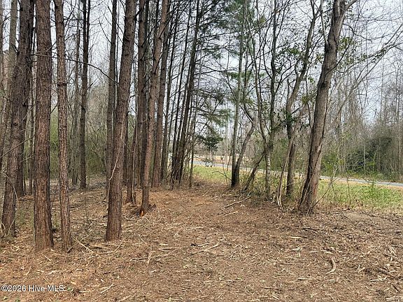 4th image of 227 Langley Rd Lot 1