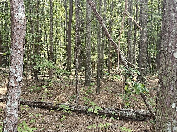 5th image of 0 Academy Ln