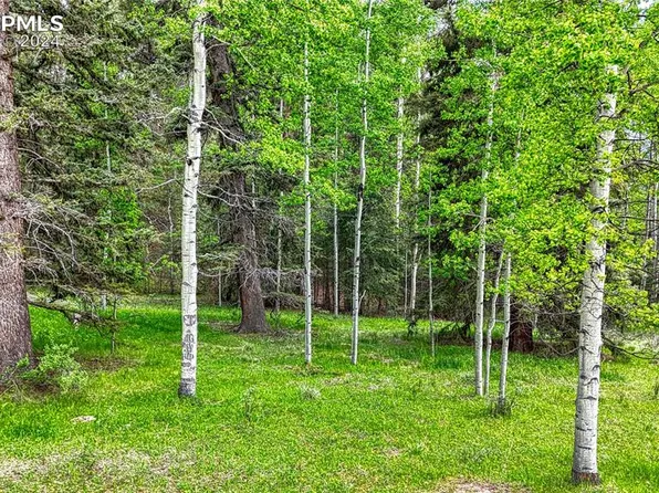 52 Idlewild Dr, Cripple Creek, CO 80813