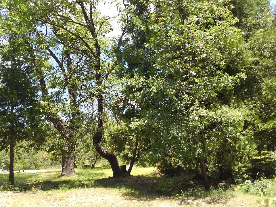 1st image of 42140 Rush Creek Ln