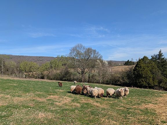 5th image of 4637 Ideal Valley Rd