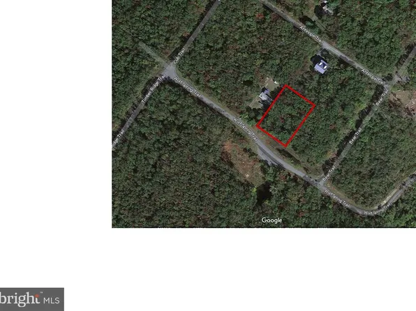 Wolf Spring Trl, Winchester, VA 22602