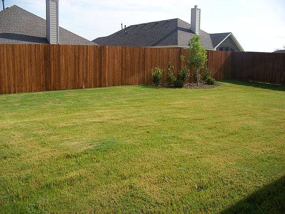 big back yard