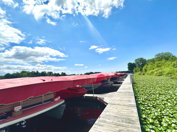 5916 Osprey Ln, Watervliet, MI 49098
