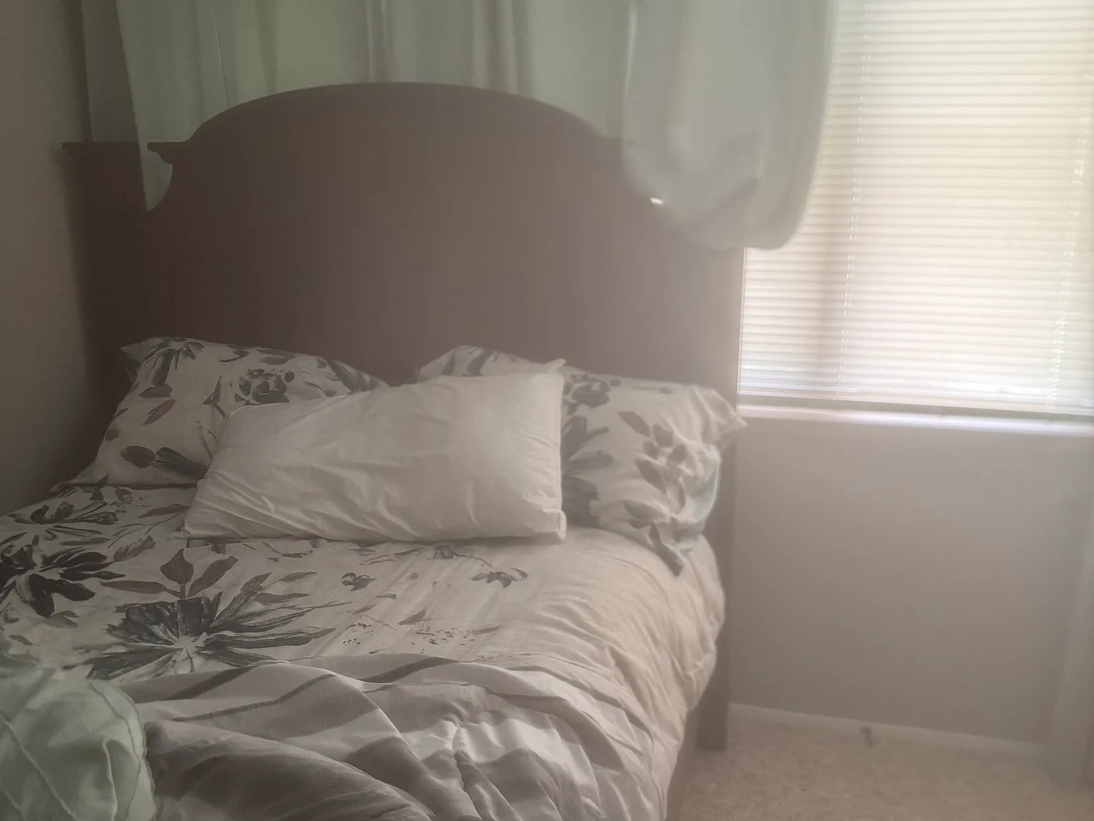 3 bed, 1290 sqft, $2,000 — Photo 4