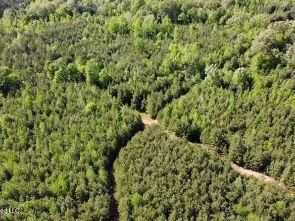 Auburn St, Bogue Chitto, MS 39629