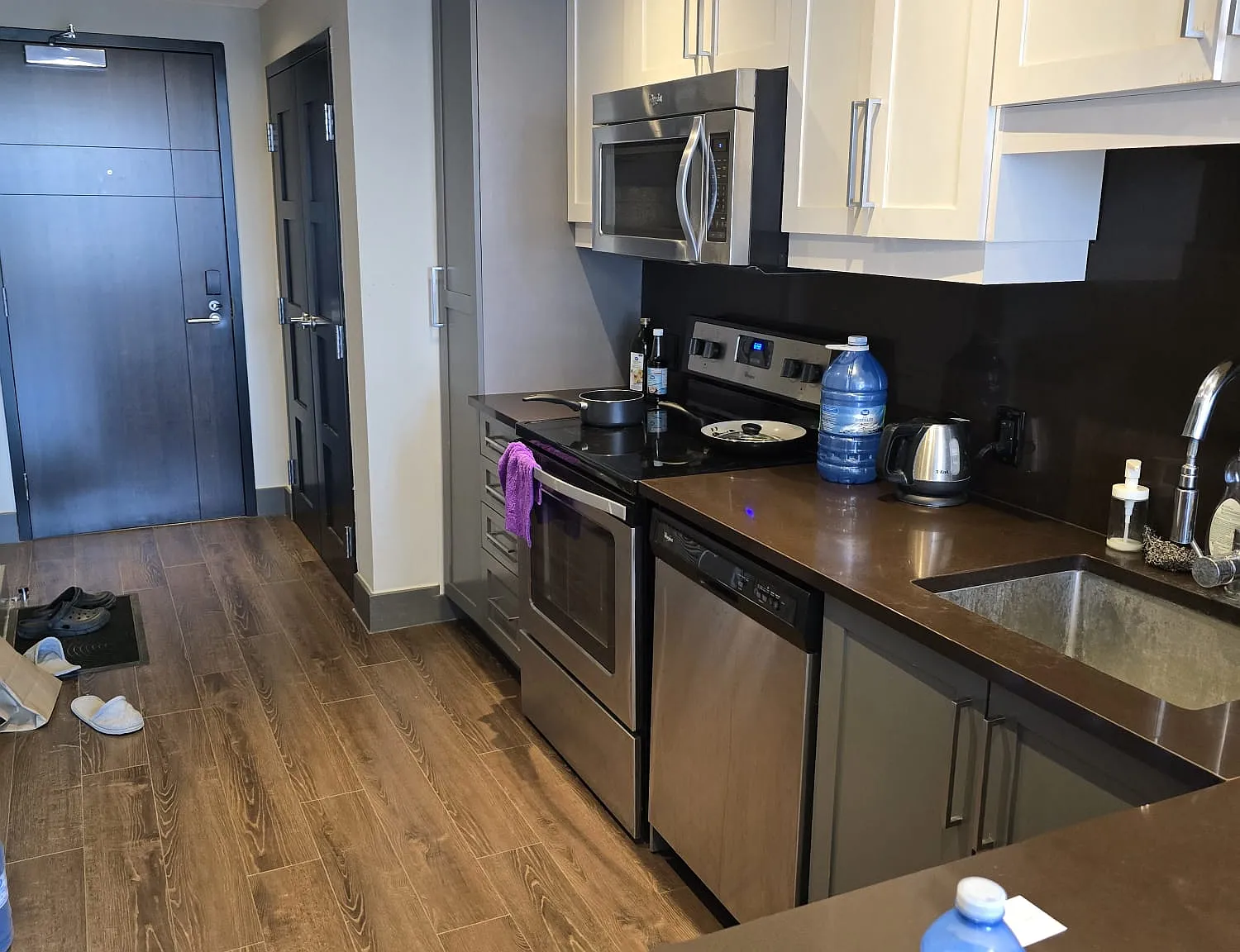 2 bed, 575 sqft, $2,350 — Photo 2