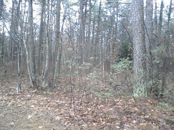 5th image of 6862 Millville Ave