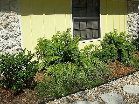 Tropical fauna - very nicely landscaped.