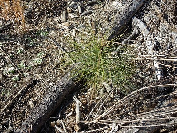 4th image of 1059 Ridgeway Warrenton Rd Lot C5-10